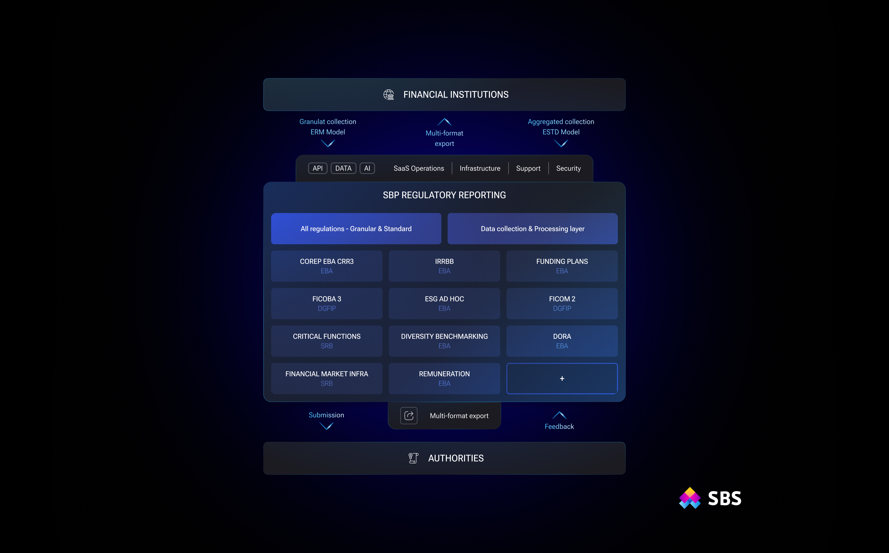 screenshot of SBP Regulatory Reporting